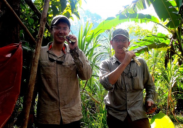 Sugar cane snack at poacher camp