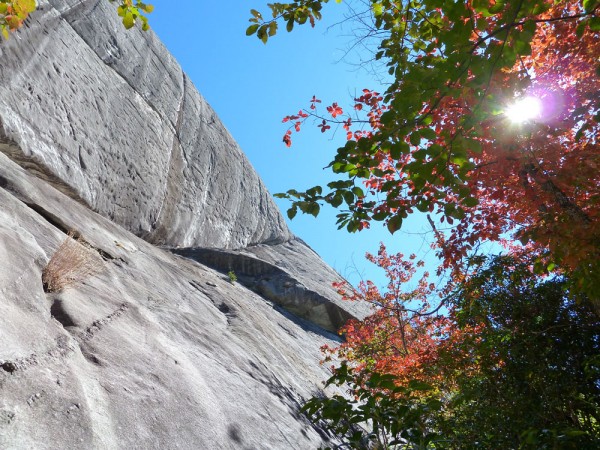 Foreshortened view of Laurel Knob.