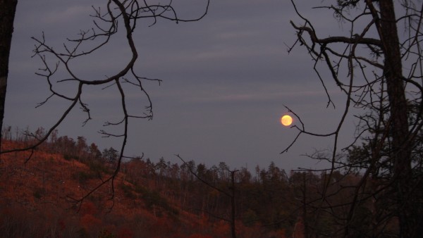 Shot the moon.