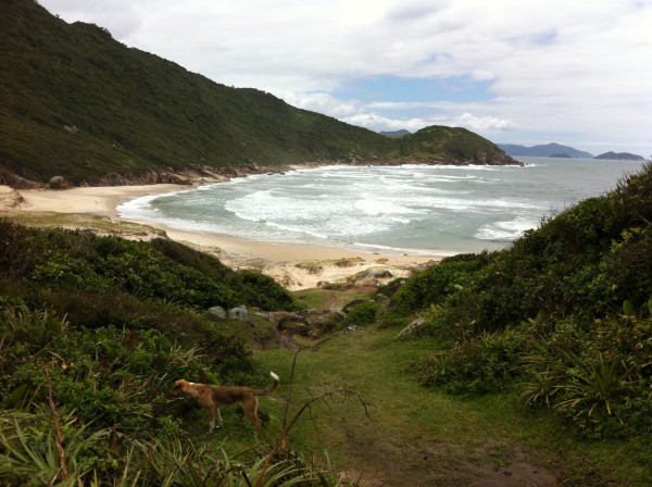 Deserted beach north of Guarda, Brazil