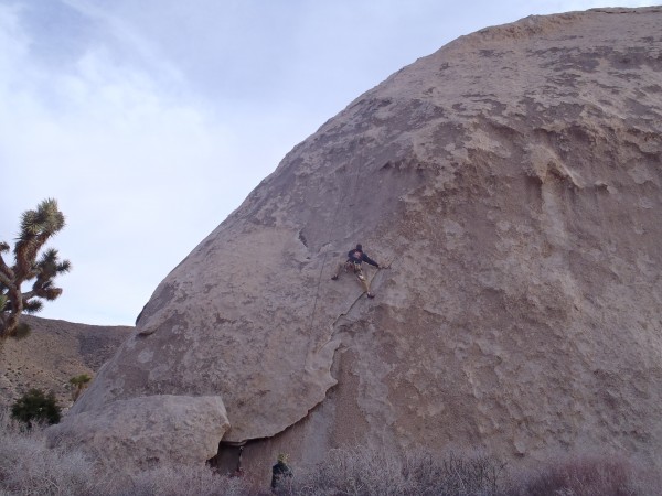 Disaster Master, Paul Humphrey, on Diamond Dogs, Joshua Tree.