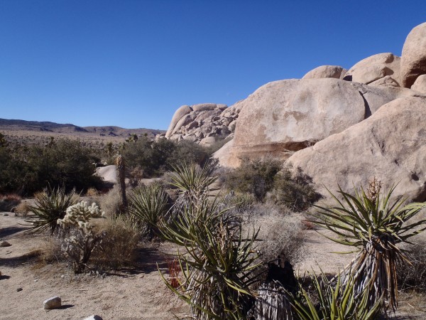 Outside Real Hidden Valley, Houser Buttress in the distance. J-Tree.