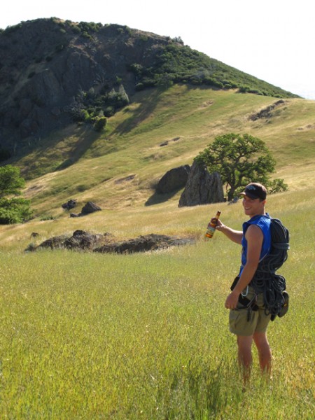 Figueroa Mtn Grass!