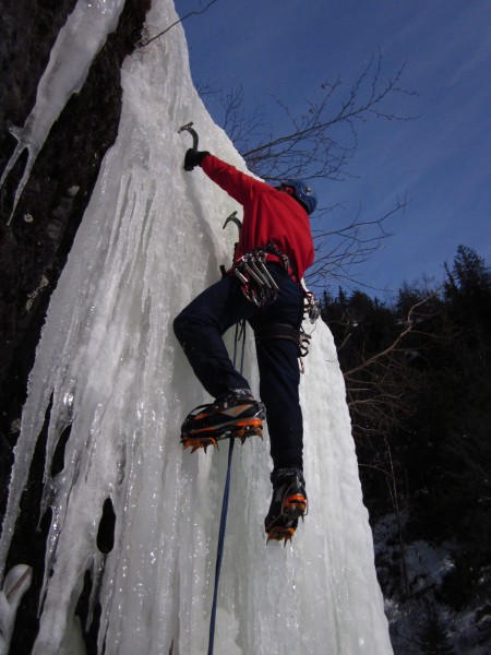 on the fragile curtain at the mouth of Bear Creek