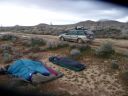 A Jaunt to Joshua Tree 4/11 - Click for details