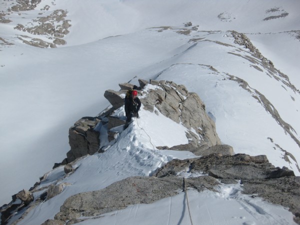 Mark on lower portion of the ridge