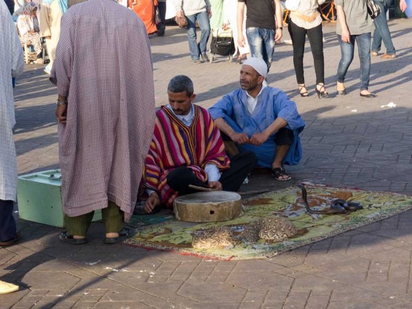 snake charmers