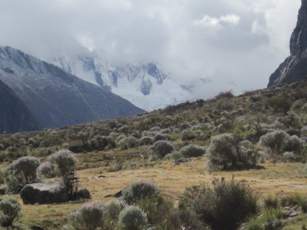 Walking up the Santa Cruz valley, one senses the presence of huge, icy...