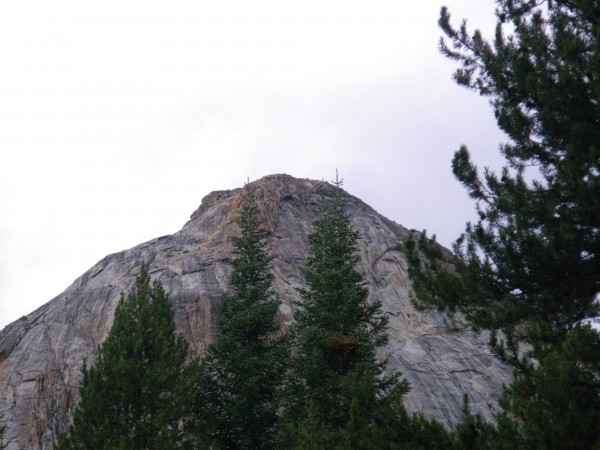 Hoffman Mountain &#40;9622'&#41; from the trail