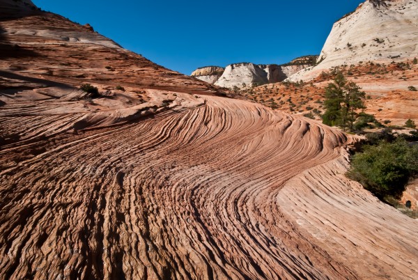 groovin in zion