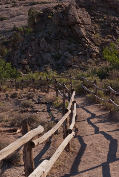 morning light on trail