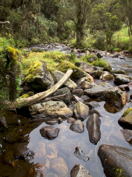 Bujuku river.