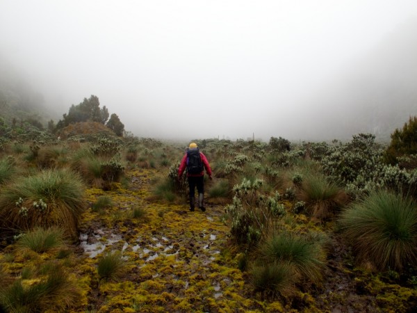 Rauben hunts for the track through the Bigo Bogs.