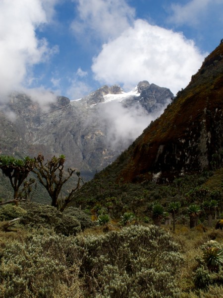 Mt Stanley comes into view from the upper Bujuku valley.