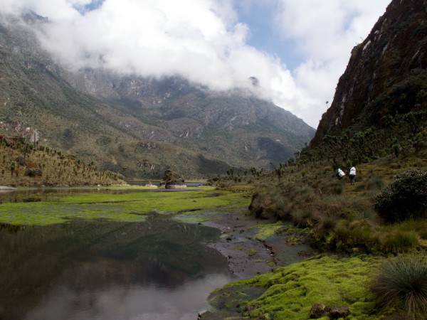 Porters pick their way around the bog surround Bujuku Lake.