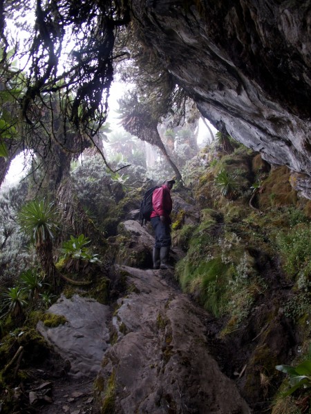 The trail out from Kitandra Lakes.  Easier when dry;  but it's never d...